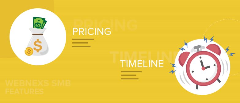 What are all the Pricing and Timeline features of SMB E-commerce business at Webnexs