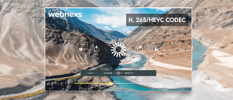H.265/HEVC Codec