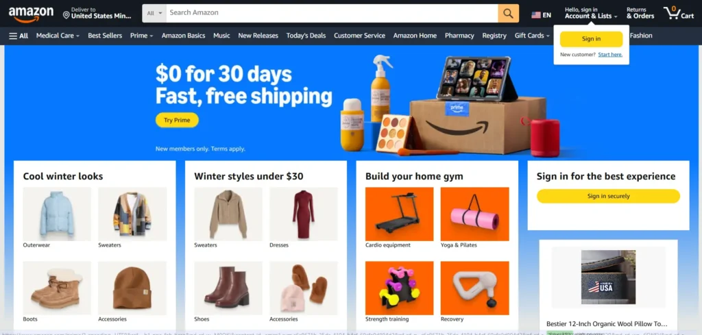 interface of amazon website