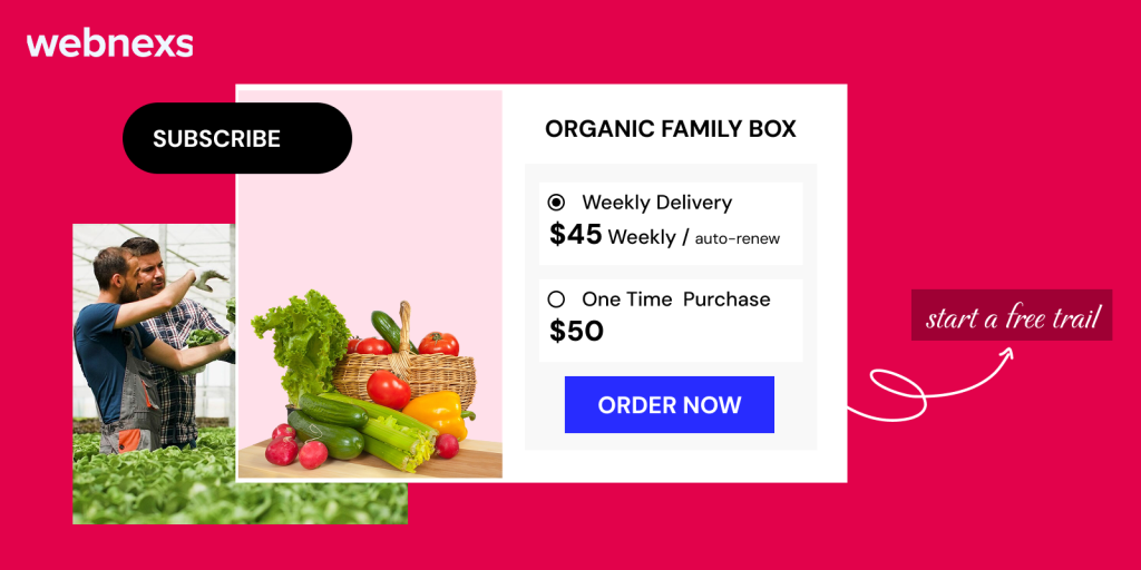 Subscription Shoppers: Encouraging Recurring Revenue